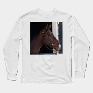 Room with a View Long Sleeve T-Shirt